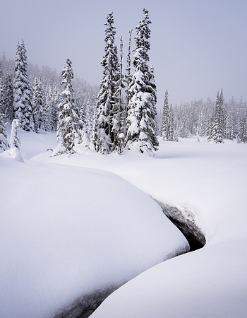 Winter's Curve-Carol Kujala