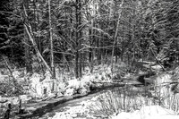 February 2023 Competition - Cold