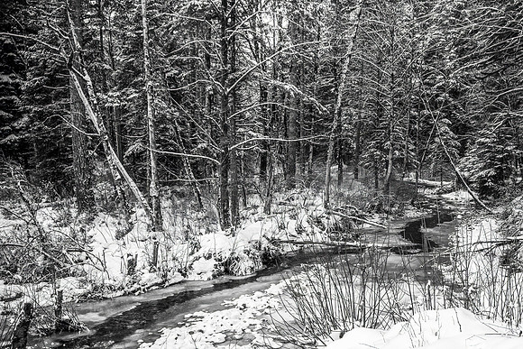 Winter Steam-Jim Whyte