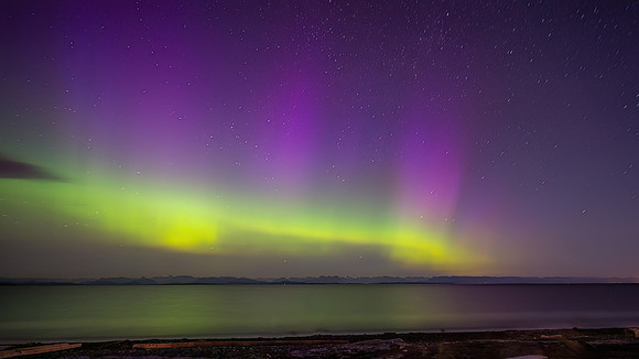 Aurora@ Oyster Bay Shoreline