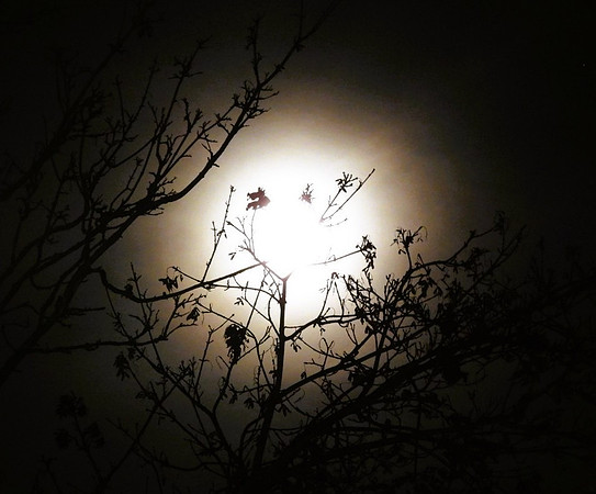 Moon Magic