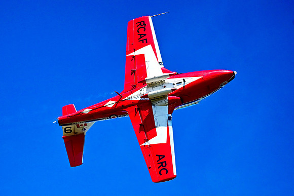 Snowbird