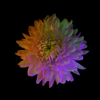 Iridescence