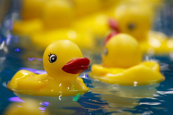 Bill Bentley-Rubber Ducky