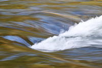 February 2023 Challenge - Soft Focus