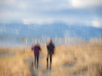 Nimisha Jimenez-Two Friends on a Walk