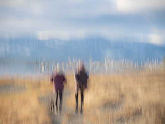 Nimisha Jimenez-Two Friends on a Walk