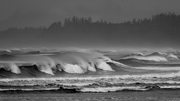 Laura Tait-Wind and Waves