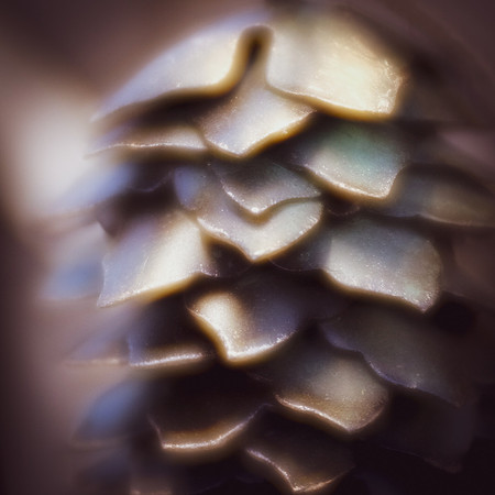 3 Deck the Halls. Carol Kujalajpg