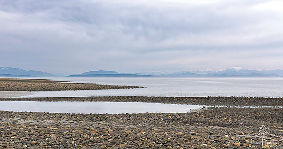 Diane Spaidal Williams Beach 4