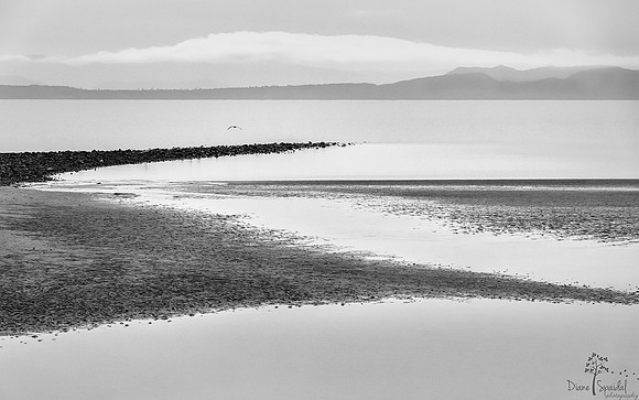 Diane Spaidal Williams Beach 2
