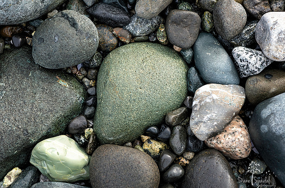 Diane Spaidal Williams Beach 1