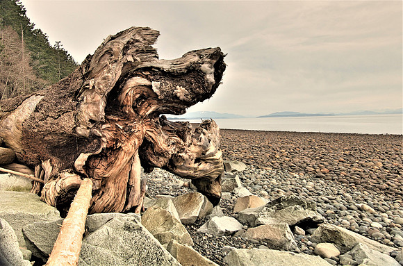 Rick Gafuik_DSC0325