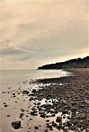 Rick Gafuik_DSC0329