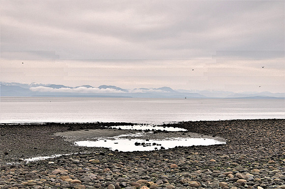 Rick Gafuik_DSC0341