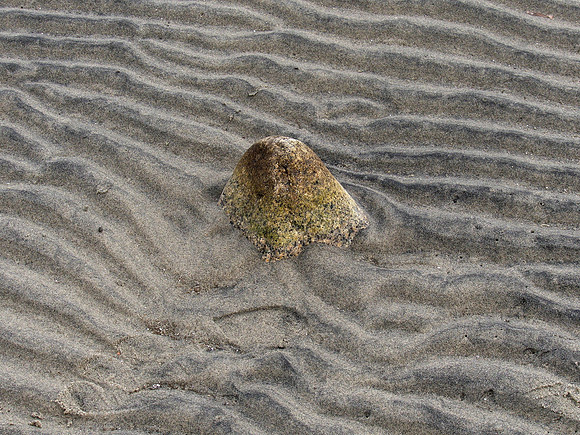 Bill 2023-03-19 011 CVPS @ Williams Beach