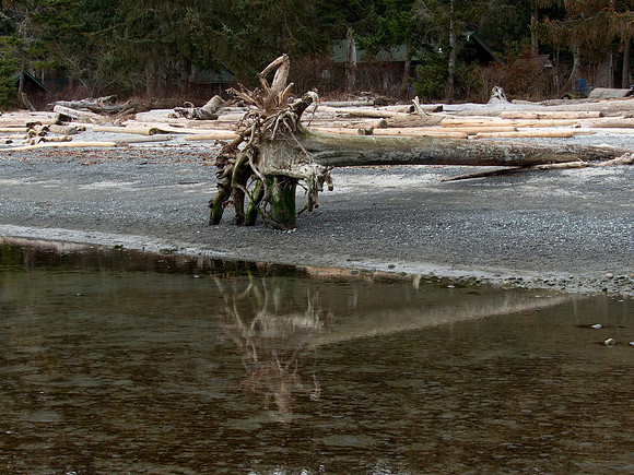 Bill 2023-03-19 015 CVPS @ Williams Beach