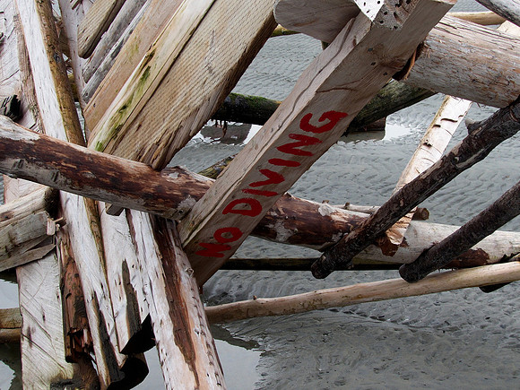 Bill 2023-03-19 020 CVPS @ Williams Beach