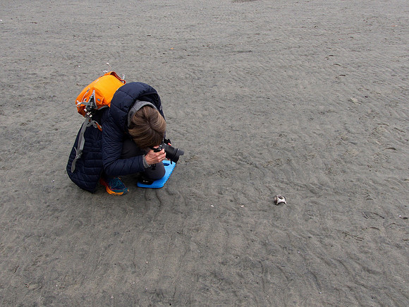 Bill 2023-03-19 027 CVPS @ Williams Beach