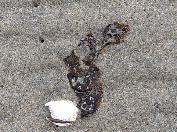 Bill 2023-03-19 030 CVPS @ Williams Beach