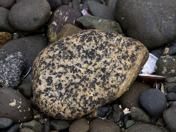 Bill 2023-03-19 034 CVPS @ Williams Beach