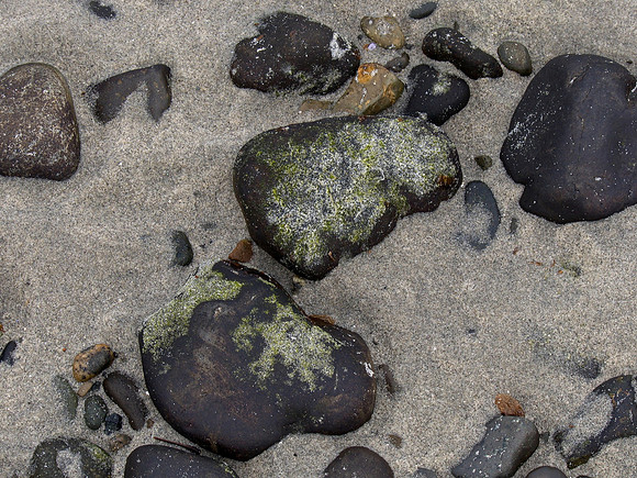 Bill 2023-03-19 037 CVPS @ Williams Beach