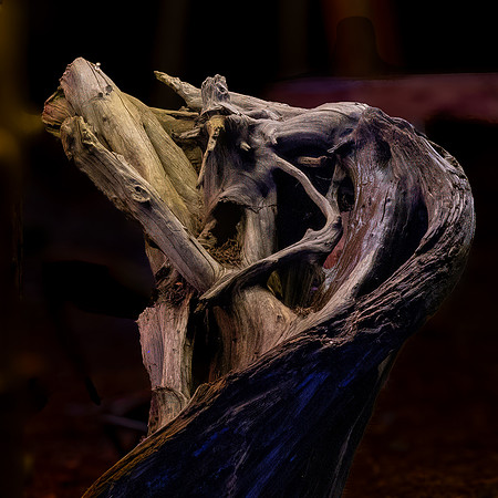 3 Forest Sculpture Bill Jorgensen