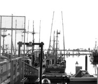 Comox Harbour