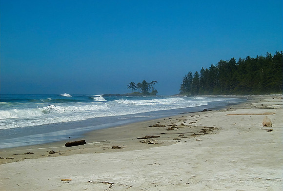 Tropic Paradise - Bob Timbers