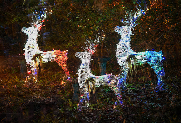 4 Multiple exposure and 12800 ISO-Katie Hubberstey