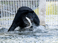 Image #6 - Catch of the Day