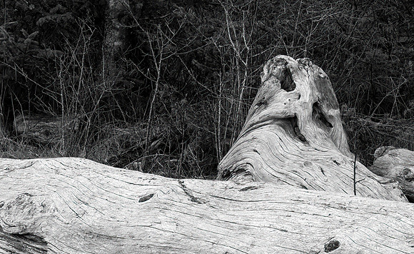 Jabba The Stump -  Tim Pope