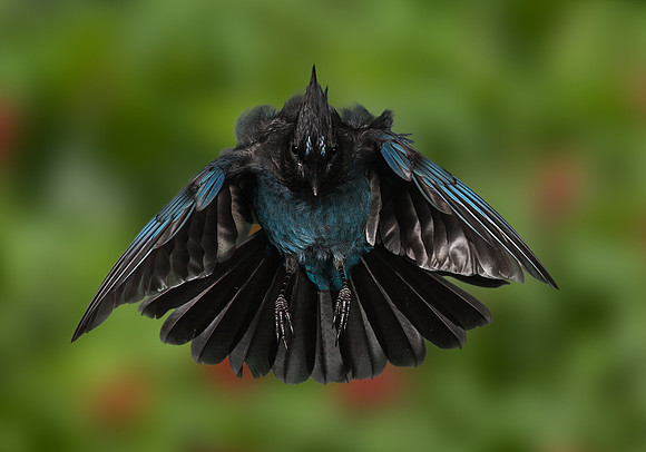 Image #23 - Landing