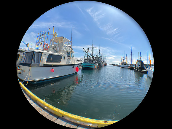 Darrell iPhone Fisheye IMG_6254