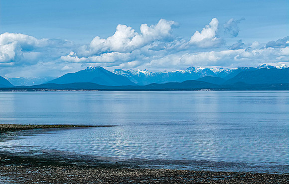 Blue on Blue - Trudy Sloan