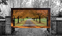 November 2015 Competition - Frame Within a Frame