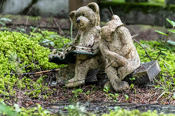 Neal Erickson Bears, Japanese & Chinese Cemetary, Ap.17.2023-19