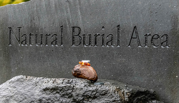 Neal Erickson Natural Burial sign, Cumberland Cemetary, Ap.17.2023-6