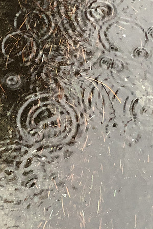 Ripples - Annie Troy