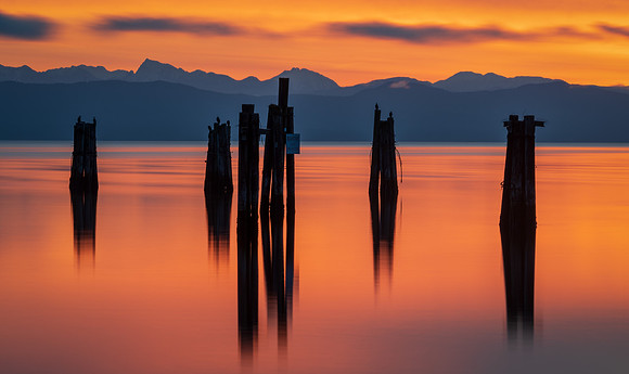 Royston Wrecks Sunrise - Don Tait