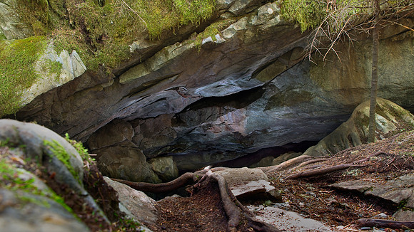 Sean Insect Cave