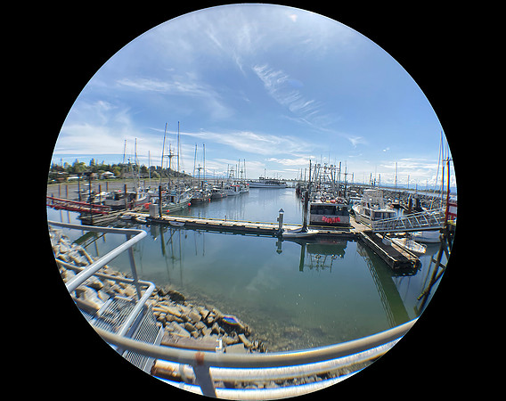 Darrell iPhone Fisheye IMG_6169