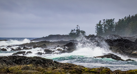 Storm Surge - Laura Tait
