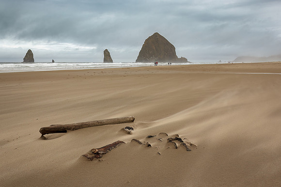Haystack Rock - Bill Bentley