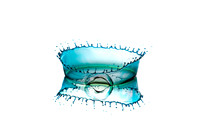 Image #8 - Colored Drop