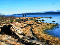 April 2023 Challenge - Seascape/Landscape