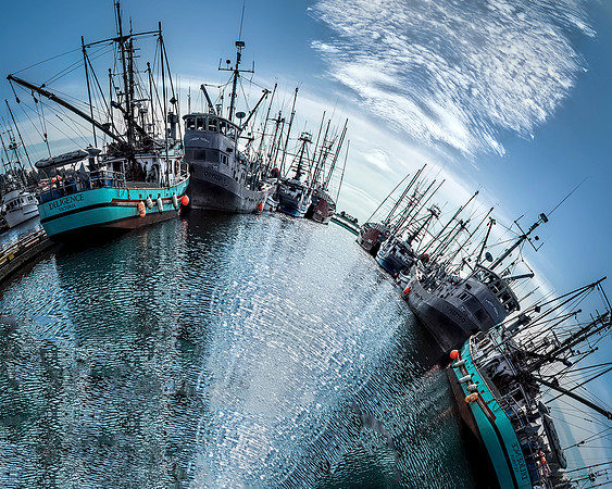 Burkholder_Reflecting