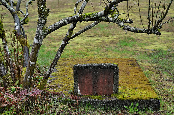 DSC_3228