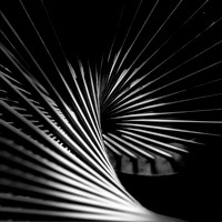 14. Spiral