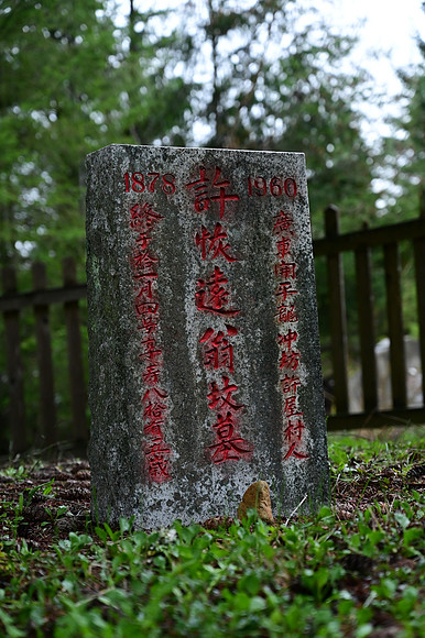 DSC_3236